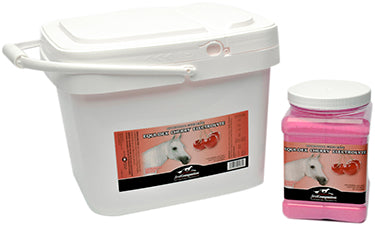 First Companion Equi-Dex Electrolyte