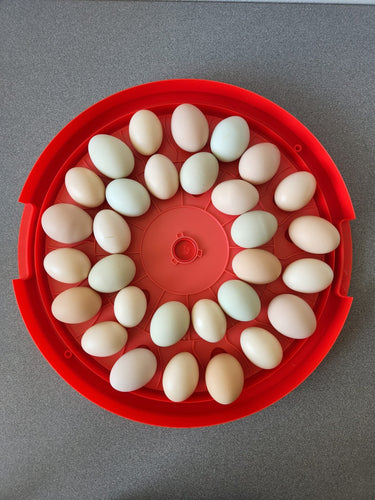 Rugged Ranch Rugg'EGG' Ranch 30 Egg Incubator RED