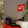 Happy Hen Silo Feeder (50 Lb)