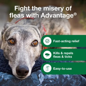 Advantage Dog Flea Treatment Spray