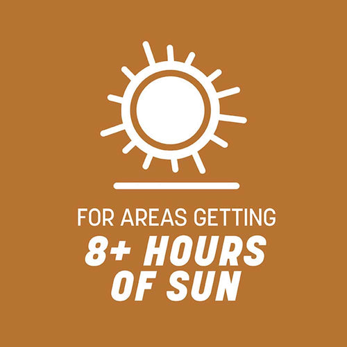 Pennington Pennington Centipede Grass Seed & Mulch