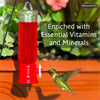 Pennington Select Natural Springs Hummingbird Nectar Concentrate