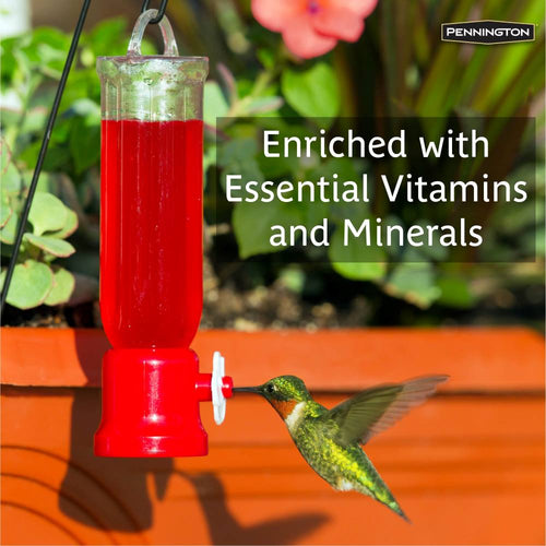 Pennington Select Natural Springs Hummingbird Nectar Concentrate