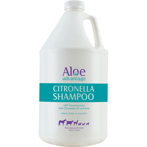 ALOE ADVANTAGE CITRONELLA SHAMPOO 16X CONC