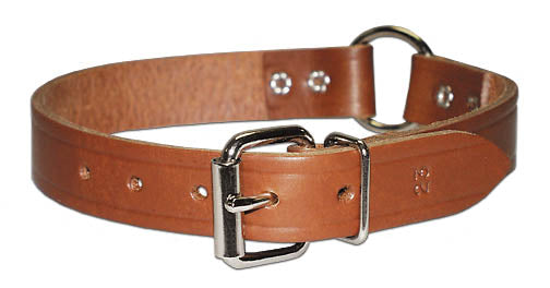 Leather Brothers  Leather Collar with Ring in Center - 3/4