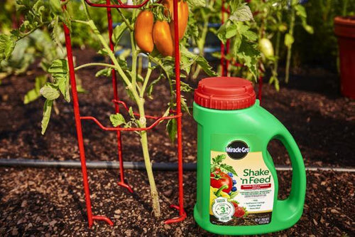 Miracle-Gro® Shake 'n Feed® Tomato, Fruit & Vegetable Plant Food (4.5 lbs)