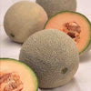 Ferry-Morse Cantaloupe Seeds, Hale's Best Jumbo