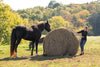 Texas Haynet Round Bale Hay Net