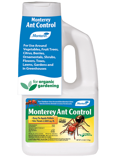 MONTEREY ANT CONTROL