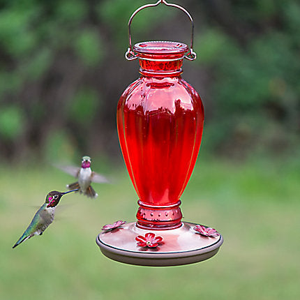 Perky-Pet® Daisy Vase Vintage Hummingbird Feeder - 18 oz Nectar Capacity (1-Count)