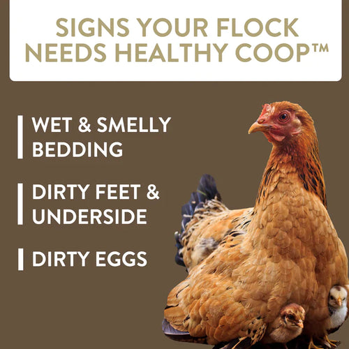 FlockLeader HEALTHY COOP