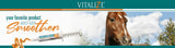 BioZyme Vitalize Equine Recovery Gel