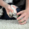 Coastal Pet Products Safari Guillotine Dog Nail Trimmer (Large)