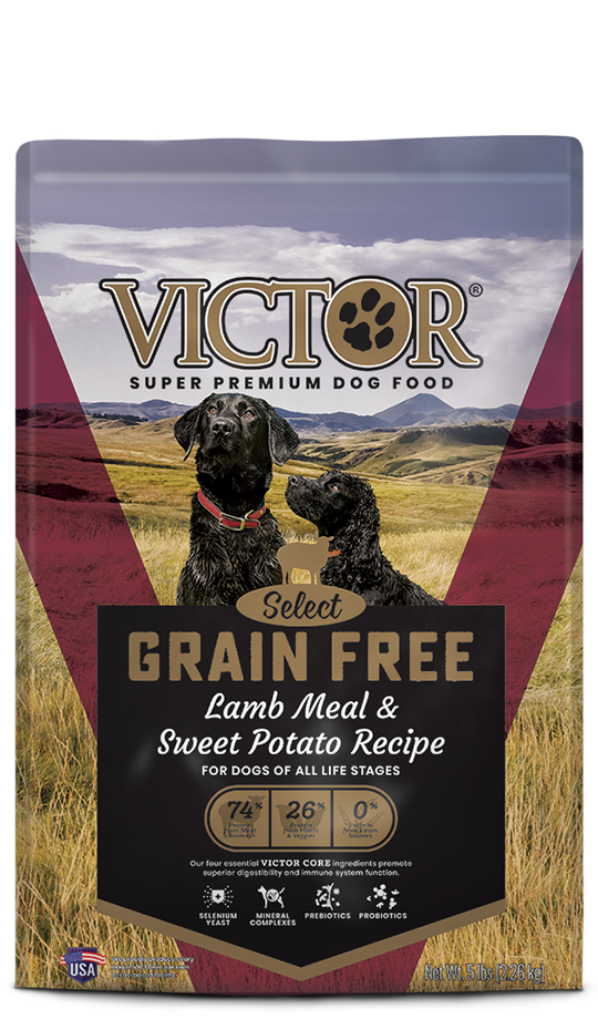 Victor Grain Free Lamb Meal & Sweet Potato Recipe