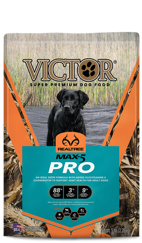 VICTOR Realtree® MAX-5 PRO for Dogs